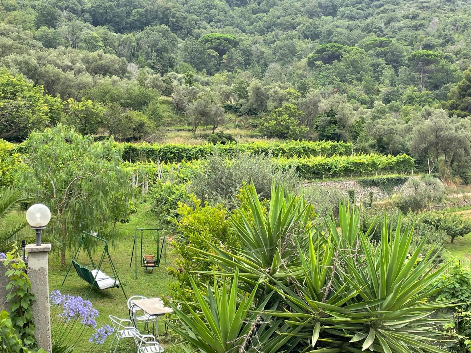 Agriturismo Barilaro Finale Ligure Exteriér fotografie