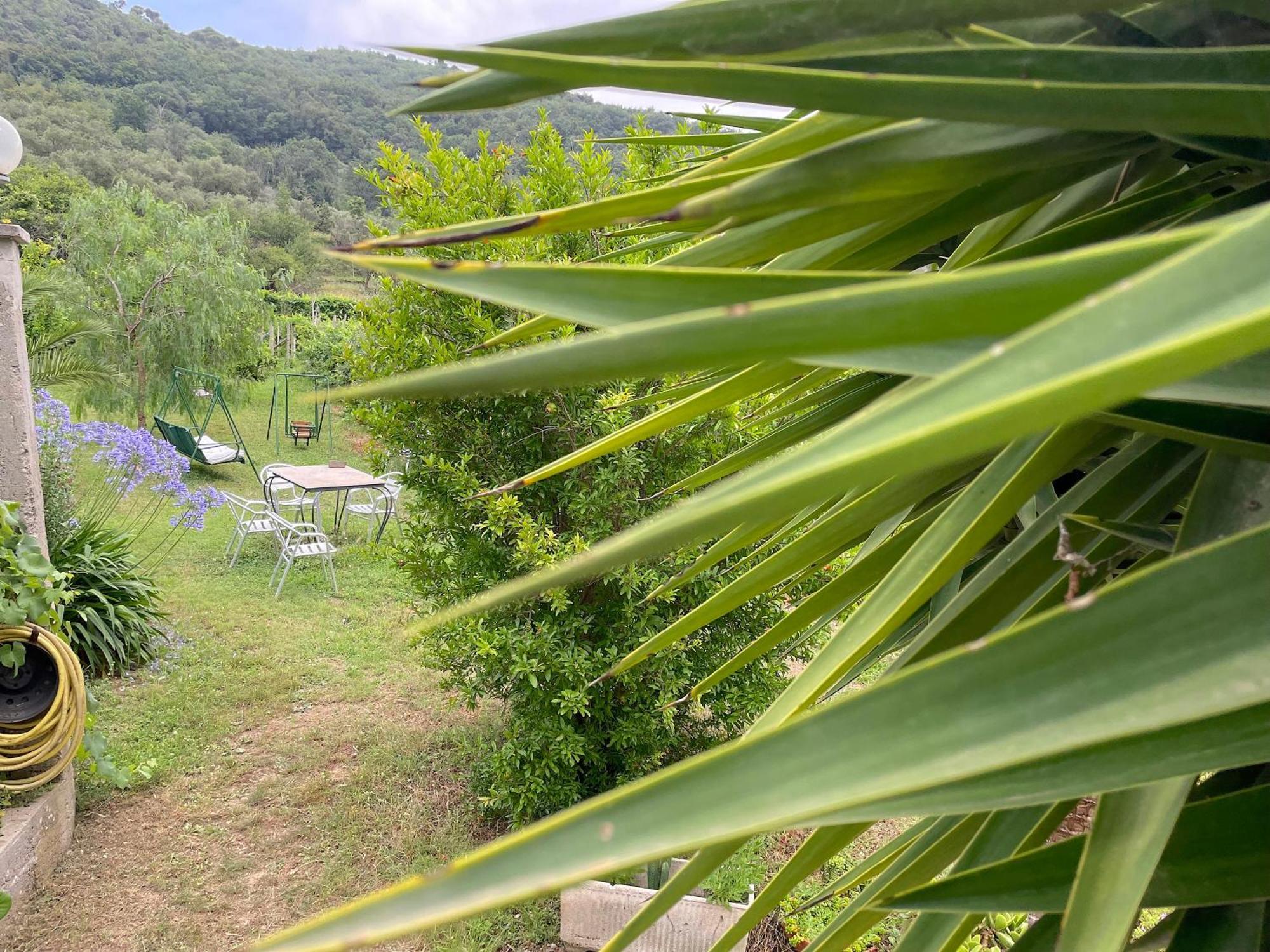 Agriturismo Barilaro Finale Ligure Exteriér fotografie